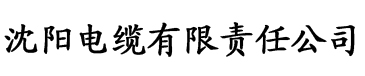 大菠萝污视频入口电缆厂logo